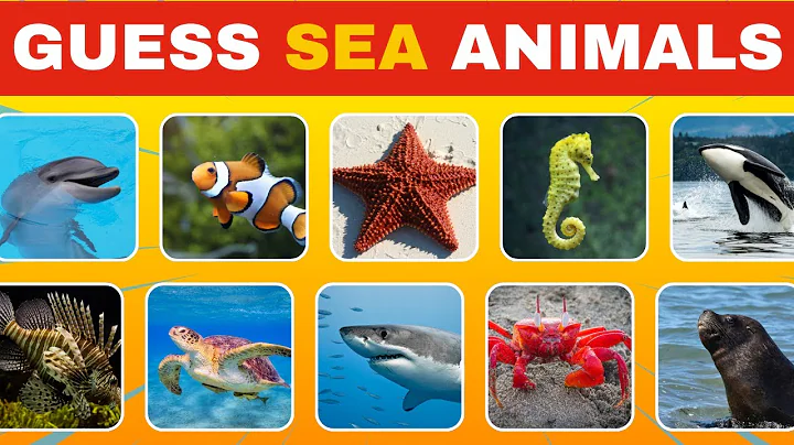 Guess the Sea Animals Quiz 🦀 🐠 | Easy, Medium, Hard, Impossible
