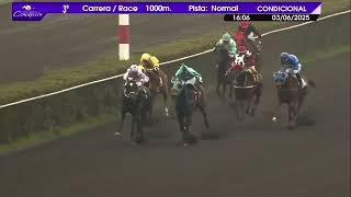 Vidéo de la course PMU PREMIO MARTIR PREFECTO HECTOR SARMIENTO