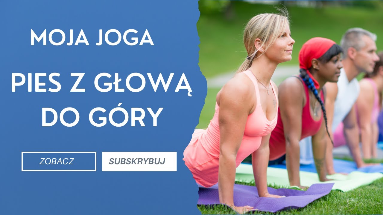 Pies z Głową do Góry – Bezpieczna Joga dla Kręgosłupa | Porady i Wskazówki