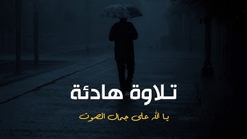 تلاوة هادئة 😴❤️ حالات واتس قران كريم// مقاطع دينية قصيره// خواطر دينية