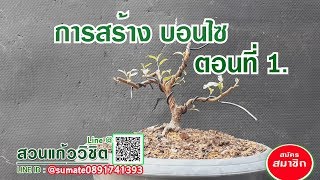 การสร้าง บอนไซ ตอนที่ 1.How to make bonsai Ep1