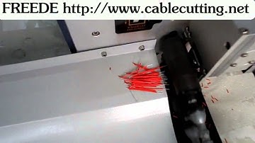wire stripping and cutting twisting machine wpm-09T-2 http://www.cablecutting.net