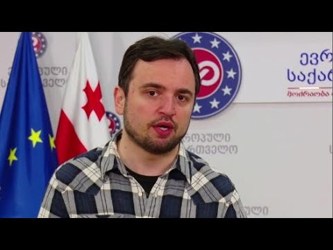 \"სოფიო კილაძე რომ ადამიანის უფლებათა კომიტეტის თავმჯდომარეა, ეს არის პარლამენტარიზმის სირცხვილი\"