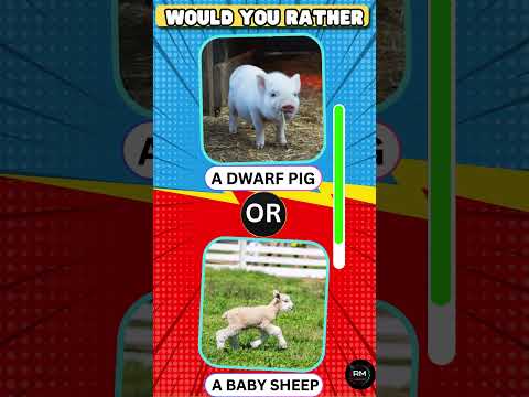 Would You Rather?