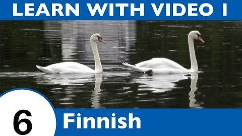 Learn Finnish with Video - This Finnish Lesson Is NOT Just for the Birds!!