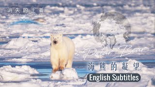 英文版《消失的王者：最後方舟》Vanishing Kings : The Last Ark_Ep1 Gaze of the Sea Bear English Subtitles｜聚焦全世界｜舒夢蘭