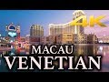 [4K] Walking Macau: Inside VENETIAN CASINO!