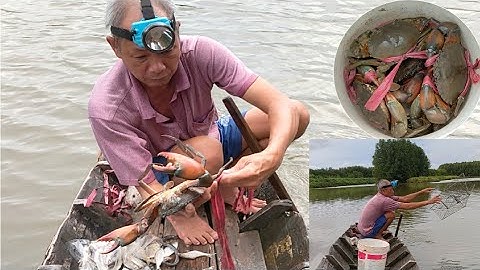 bơi xuồng thả rập bắt cua trong vuông tôm Năm Căn Cà Mau