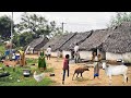 The most beautiful village life in india  peaceful village life in india  beautiful village life
