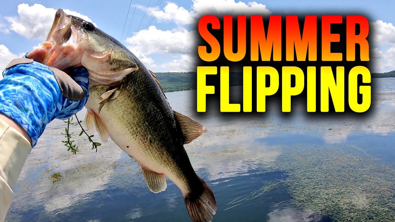 Pumching Rig What you NEED to know About a Flipping & Punching Rig for Bass - YouTube