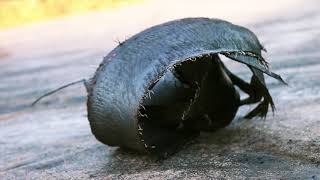 Ennerdale Secondary School Spin City 2014