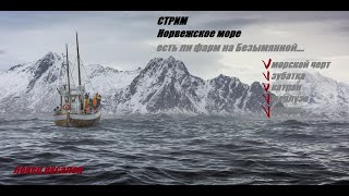 Фармим на море...Октопусы и Хантеры...