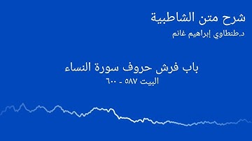 شرح الشاطبية || د.طنطاوي إبراهيم غانم || سورة النساء ١