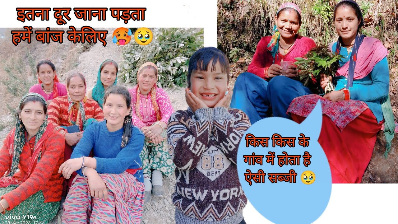 आज कल हमारे गांव में होगयी जंगल की सब्जी 🥹 चंद्रारा किस किस किस के गांव में होती है ये सब्जी 