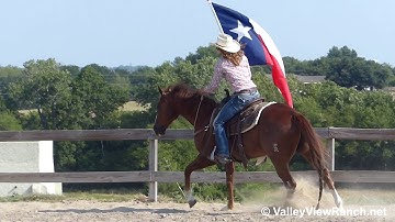 Call For Honor - bridleless carrying the flag! - ValleyViewRanch.net