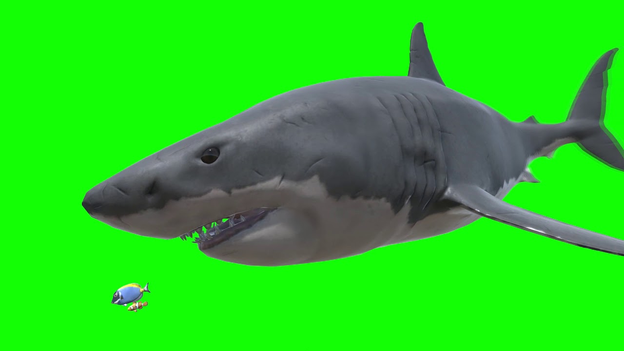 Top Free Green Screen Effects Pack 2020 Volume 3 Creatures - YouTube