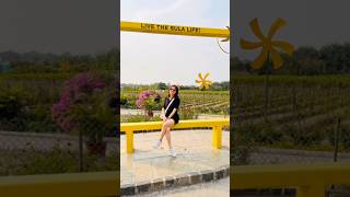 A day at Sula Vineyard ✨ 🍇 #youtubeshorts #travel #sulavineyards