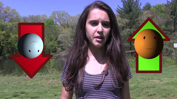 Quantum Entanglement &Teleportation - Breakthrough Junior Challenge  2018