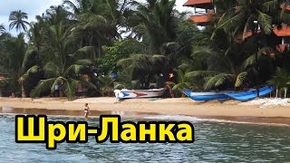 видео Отдых на Шри-Ланке