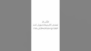 صلاة التراويح ليلة ١ رمضان ١٤٤٥هـ سورة البقرة الاية ٢٩ الشيخ #بدر_التركي