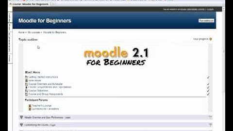 Topic 0 in Moodle 2.1