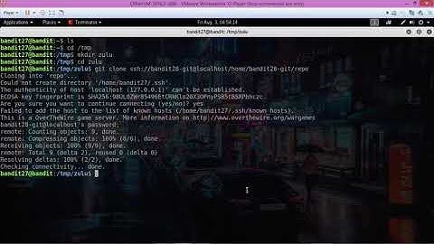 OverTheWire Bandit Level 28 Solution. Level 28-29 Walkthrough.