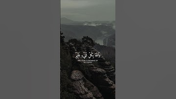 ما أصاب من مصيبة إلا بإذن الله ومن يؤمن بالله يهد قلبه🌱|رعد الكردي #قران #قرآن_كريم #سورة_التغابن