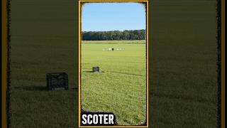 #dogtraining #retriever #retrievertraining #gundogtraining #pitbosswaterfowl #duckdog