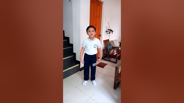 Grade 1 PE (Slow, Fast, Heavy and Light movements)