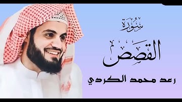 سورة القصص القارئ رعد الكردي