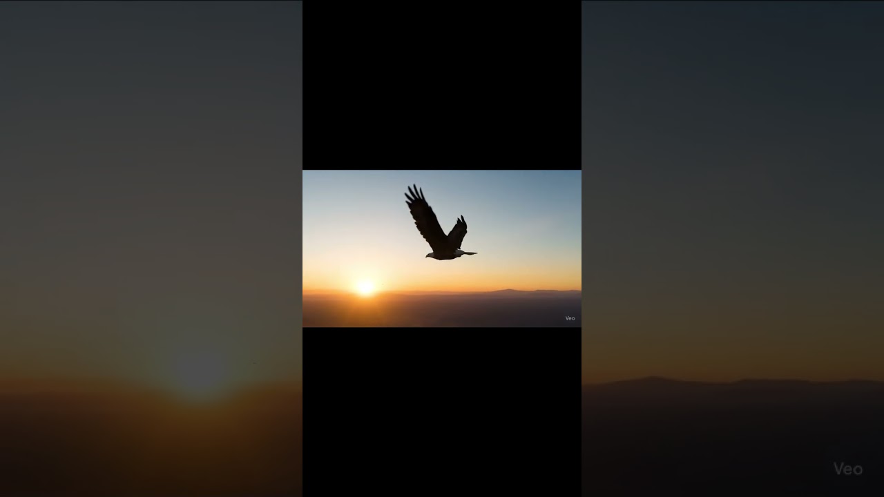 Animals Celebrate Independence Day in the Cutest Way!" 