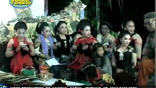 GORO GORO sri bawono-dalang cilik-putune mbah suwadi -mbah suwati trah dalang wetanan