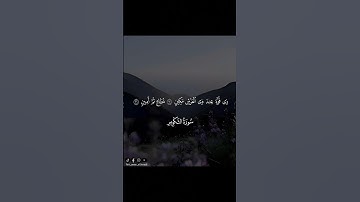الشيخ انس العمادي - سورة التكوير- التسجيل بتاريخ 15/5/1435 🤍#أنس_العمادي​ #قرآن #قرآن_كريم #االتكوير