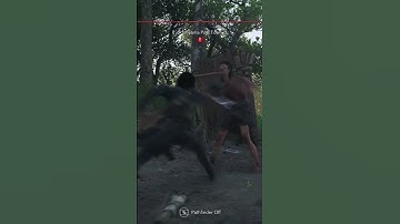 Pro Plays In Assassin