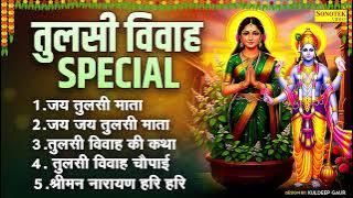 2025 तुलसी विवाह Special | Om Jai Tulsi Mata ॐ जय तुलसी माता | Tulsi Vivah Katha Arti,Bhakti bhajan