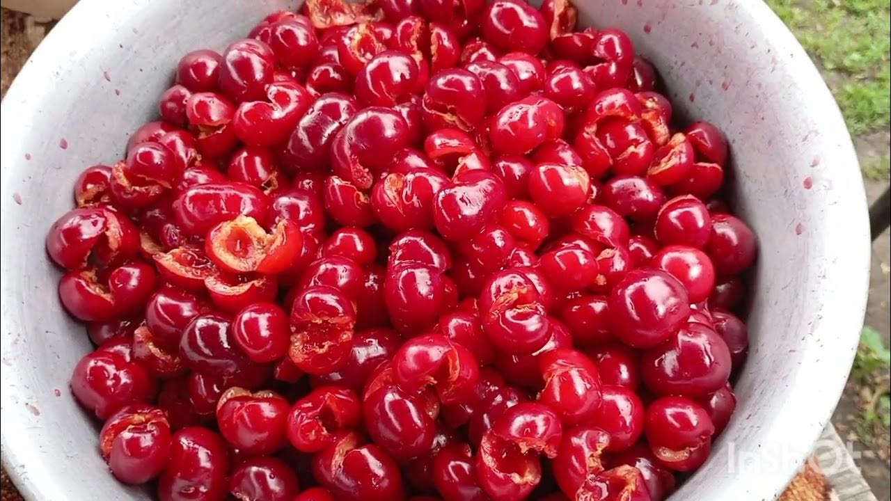 Енергетик Варення із черешень Смачно🍒 - YouTube
