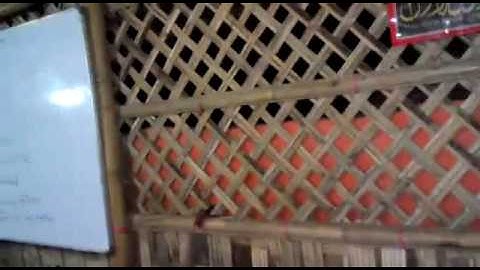 Rohingya Language School noyapara-08