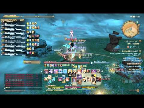 【FF14】「真ガルーダ討伐戦」OT視点
