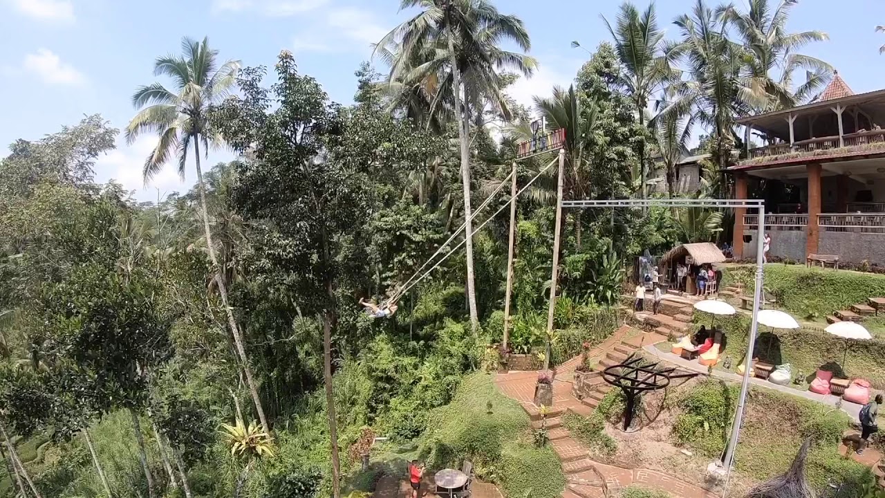 Tegallalang Rice Terraces Ubud Bali Indonesia April 2019