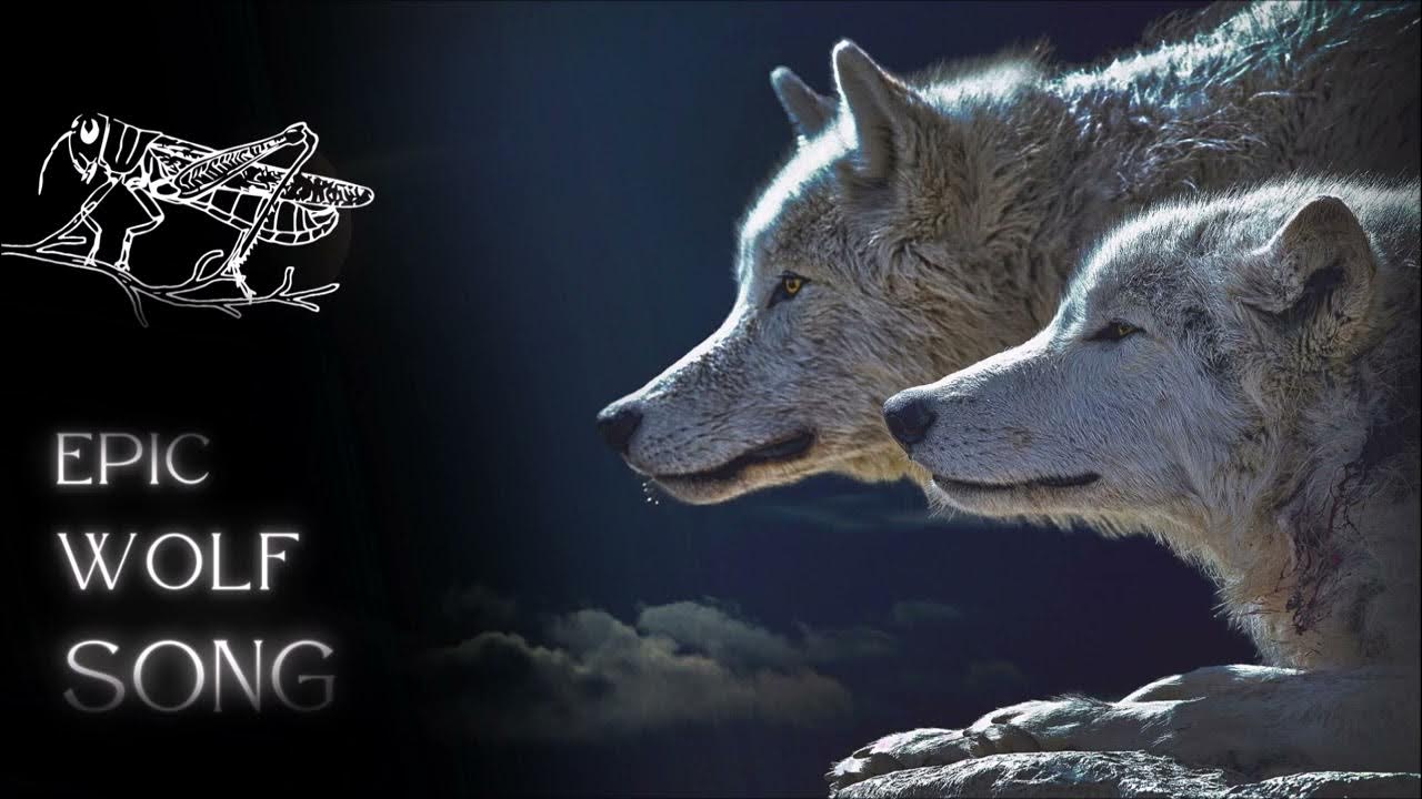Wolf Howling Sound Effects Wolf Song HD Wolves Howling at the Moon