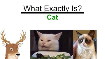 What Exactly is: Cat And How They Have Been Learning to Live WIth Us