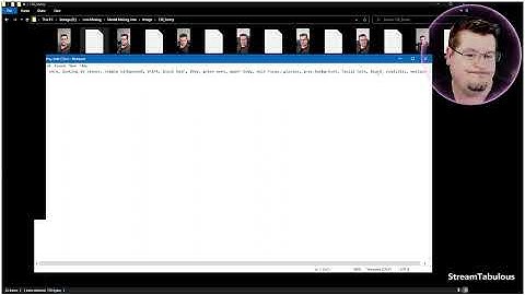 Kohya ss HOW to Make a Model of a face to use in Easy Diffusion/Stable Diffusion