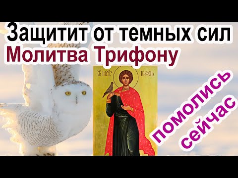 Сильная защитная Молитва от нечисти святому мученику Трифону  с текстом