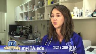 Details Vet Tech School Review | Institute of Technical Arts Student Review News