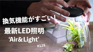 Review using the latest terrarium LED lighting 'Air & Light' by 苔テラリウム専門-道草ちゃんねる‐ 19,668 views 11 months ago 9 minutes, 24 seconds