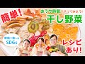 【100均】ダイソーで簡単干し野菜！管理栄養士のSDGsチャレンジ！レシピつき／キッシュ／マフィン