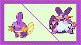 [LIVE] Shiny Mudkip ♀ after 7,124 soft resets in Sapphire (Water Monotype #1)