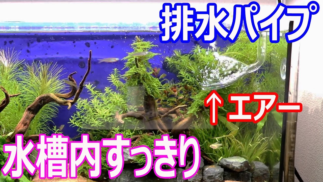 供え 外部フィルター用接続ホース 内径１６mm 外径２２mm 切り売り 熱帯魚 アクアリウム フィルター エアレーション器具 Shipsctc Org