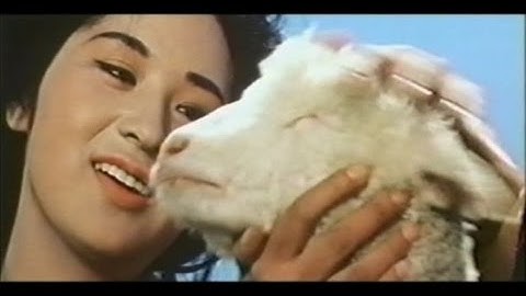 1961年 羊毛PR映画『恋の羊が海いっぱい』 監督 黒木和雄