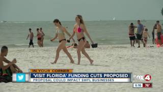 Southwest Florida business leaders say cuts to Visit Florida could hurt them